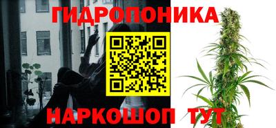 стафф Заводоуковск
