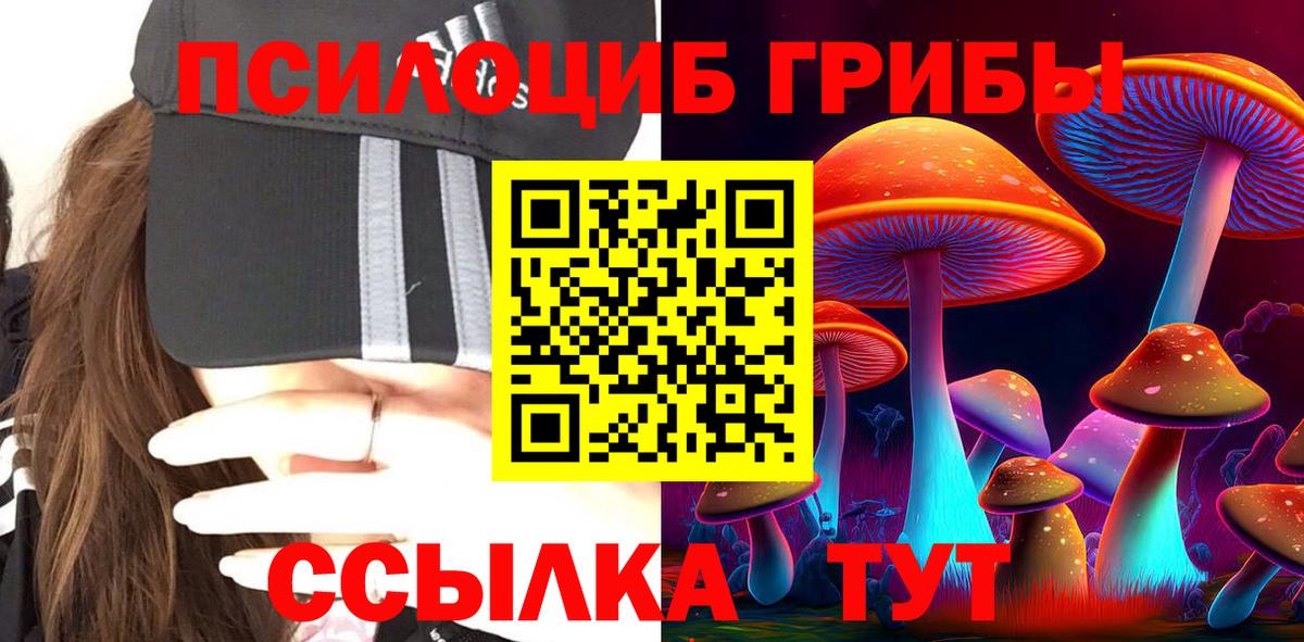 Галлюциногенные грибы GOLDEN TEACHER  Псилоцибиновые грибы мицелий  Вход с VPN  Кулебаки 